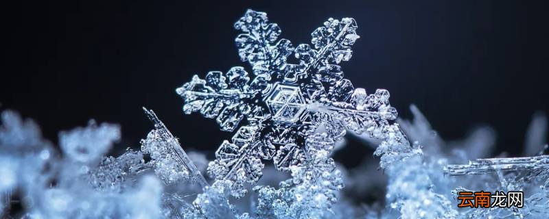 雪象征着什么人