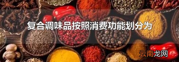 复合调味品按照消费功能划分为