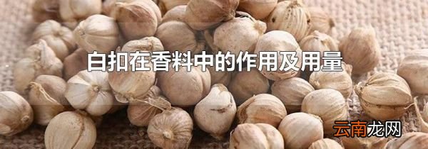 白扣在香料中的作用及用量