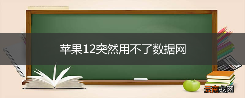 苹果12突然用不了数据网