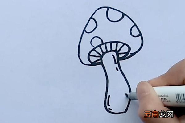 蘑菇简笔画蘑菇的简笔画