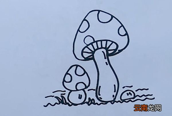 蘑菇简笔画蘑菇的简笔画