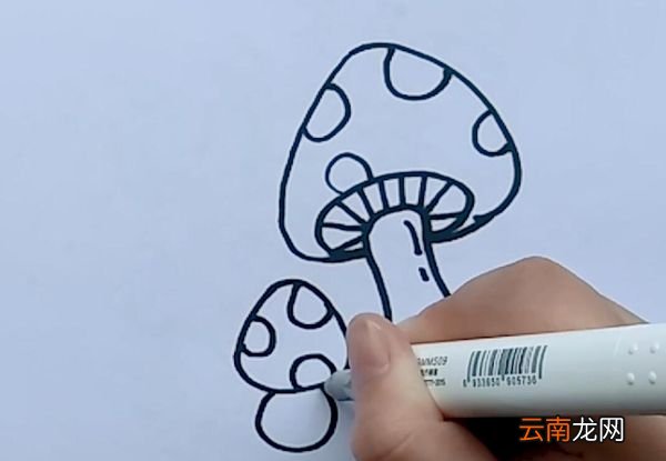 蘑菇简笔画蘑菇的简笔画