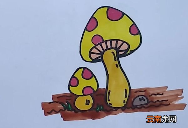 蘑菇简笔画蘑菇的简笔画