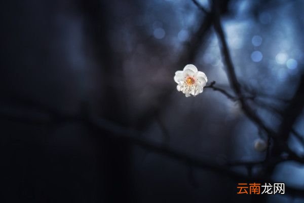 仓海一粟是什么意思沧海一粟是成语吗