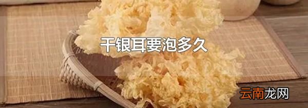 干银耳要泡多久