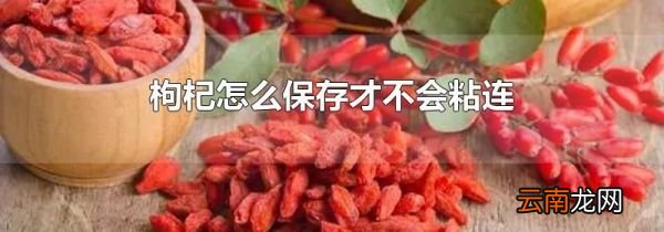 枸杞怎么保存才不会粘连