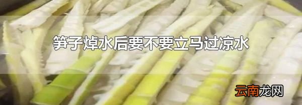 笋子焯水后要不要立马过凉水