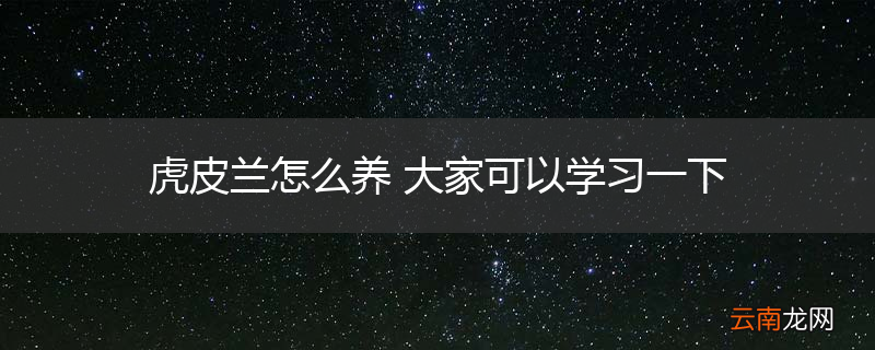 虎皮兰怎么养 大家可以学习一下