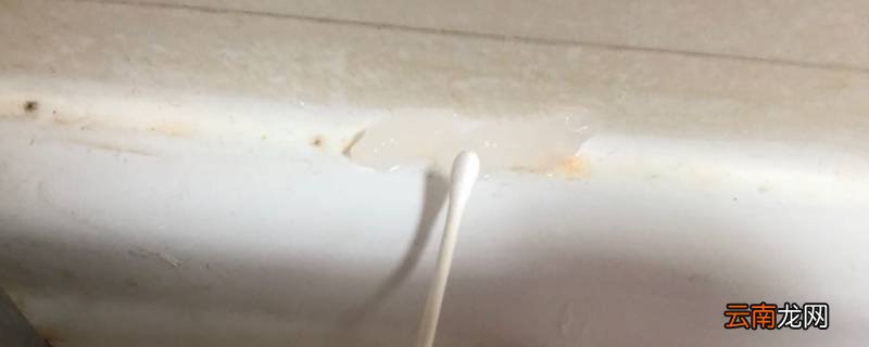 玻璃胶霉斑去除小窍门