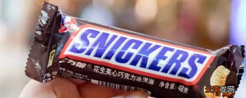 一条士力架能撑一天吗