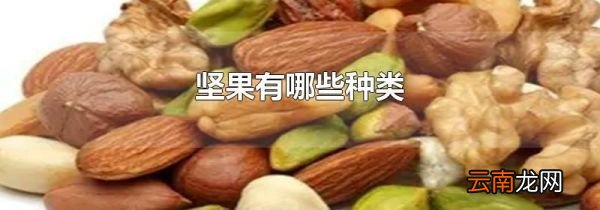 坚果有哪些种类
