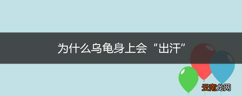 为什么乌龟身上会“出汗”