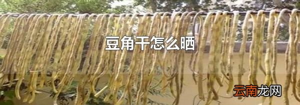 豆角干怎么晒