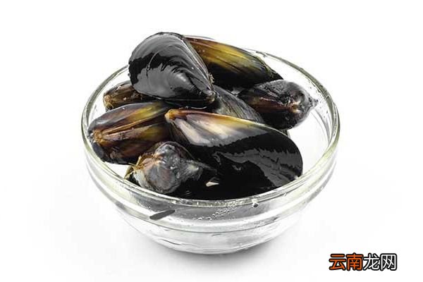淡菜的功效与作用 淡菜的禁忌