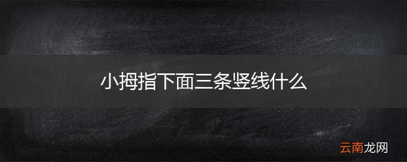 小拇指下面三条竖线什么