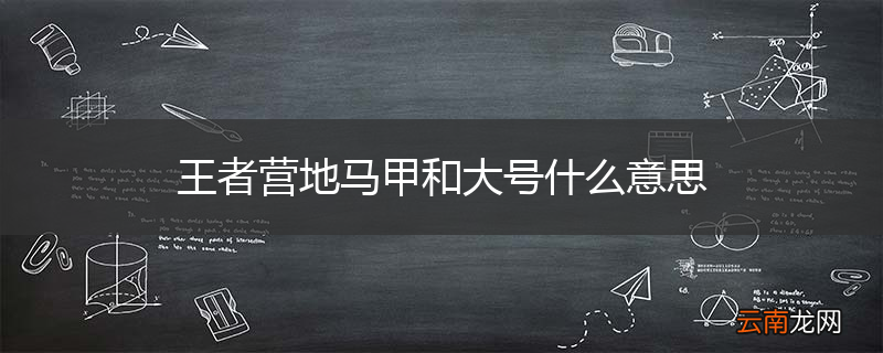 王者营地马甲和大号什么意思