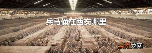 兵马俑在西安哪里