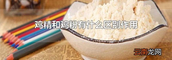 鸡精和鸡粉有什么区别作用