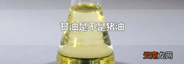甘油是不是猪油