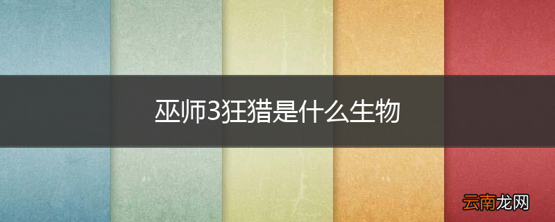 巫师3狂猎是什么生物