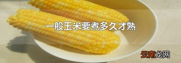 一般玉米要煮多久才熟