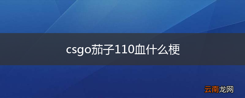 csgo茄子110血什么梗
