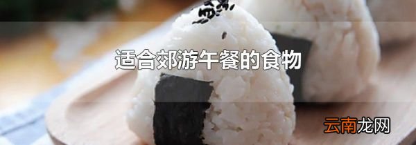 适合郊游午餐的食物