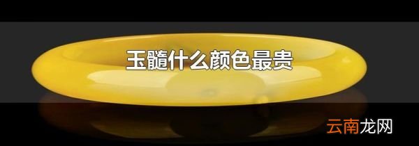 玉髓什么颜色最贵