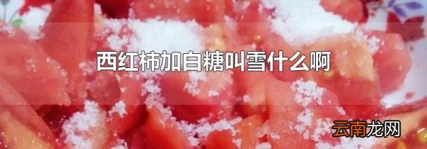西红柿加白糖叫雪什么啊