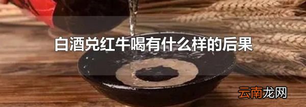白酒兑红牛喝有什么样的后果