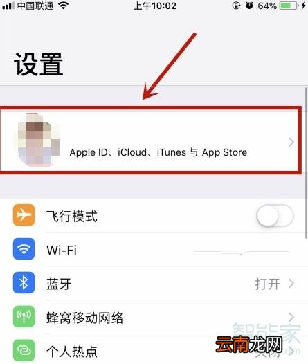苹果手机此时无法下载app