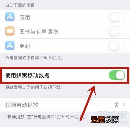 苹果手机此时无法下载app