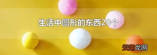 生活中圆形的东西20个