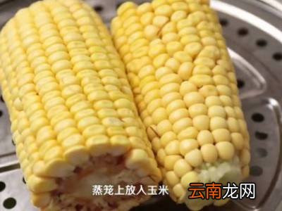 蒸玉米怎么蒸