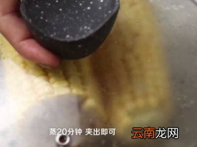 蒸玉米怎么蒸