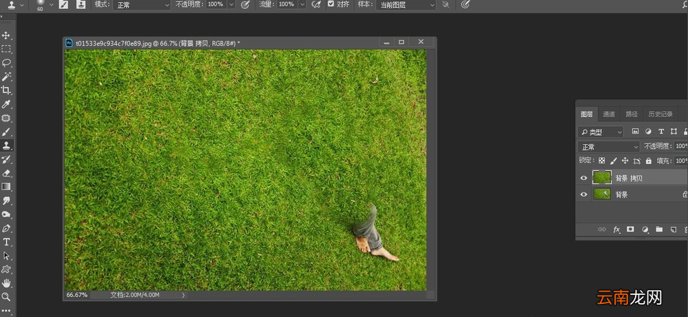 Photoshop仿制图章工具消除图片多余元具体操作步骤