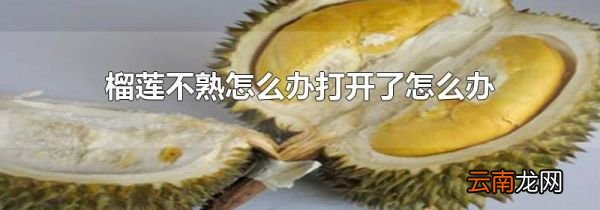 榴莲不熟怎么办打开了怎么办