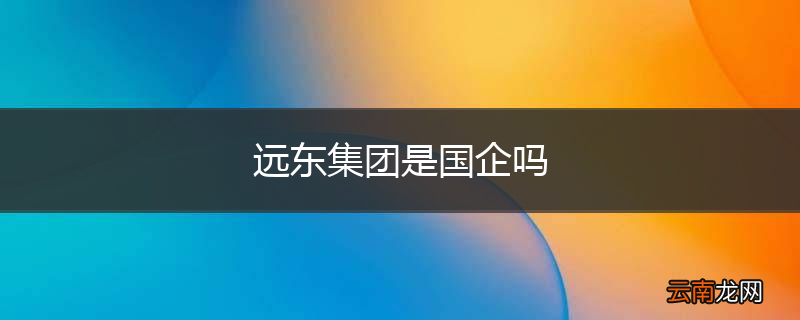 远东集团是国企吗