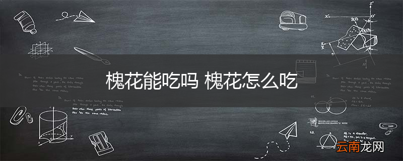 槐花能吃吗 槐花怎么吃