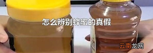 怎么辨别蜂蜜的真假