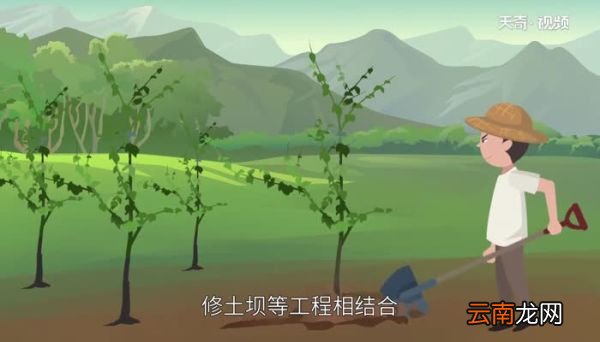 黄土高原水土流失的原因 黄土高原水土流失严重的原因分析