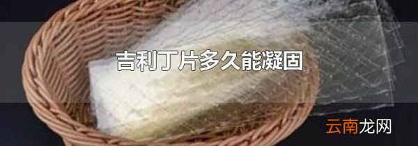 吉利丁片多久能凝固