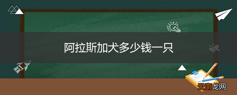 阿拉斯加犬多少钱一只