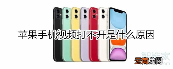 苹果手机视频打不开是什么原因