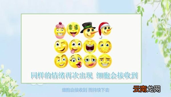 七年之痒是什么意思三年之痛，七年之痒是啥意思