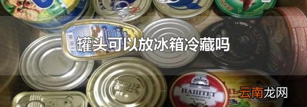 罐头可以放冰箱冷藏吗