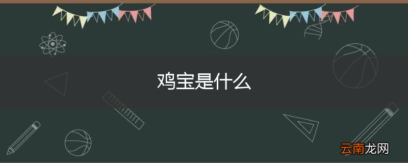鸡宝是什么