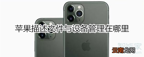 苹果描述文件与设备管理在哪里