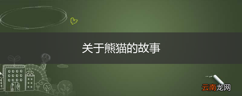 关于熊猫的故事